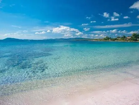 Tina's Tiny House - 10 Meters From The