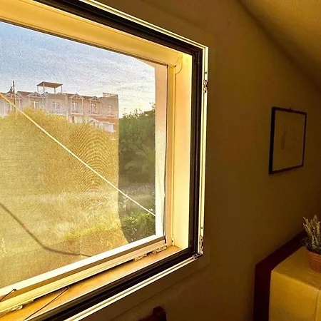 Tina's Tiny House - 10 Meters From The Olbia