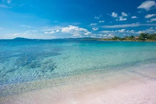 Tina's Tiny House - 10 Meters From The